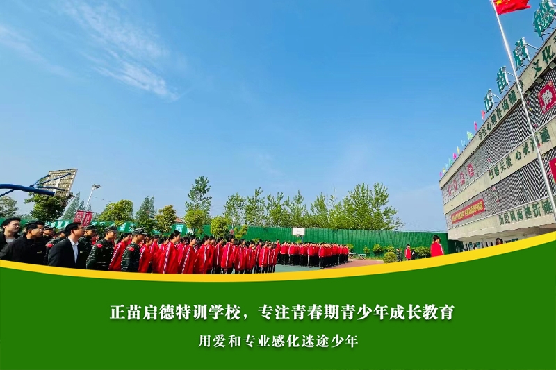 高中女孩离家出走心理压力大，心理疏导和兴趣培养如何结合？