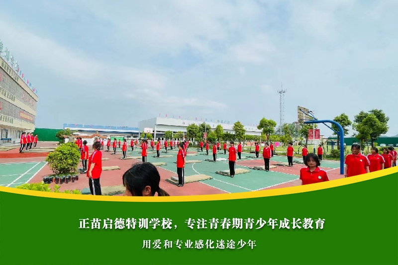 高中女孩叛逆沉迷网络，家庭教育和心理辅导如何协调？