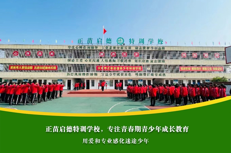 游戏成瘾影响学习成绩，如何在家实施干预？