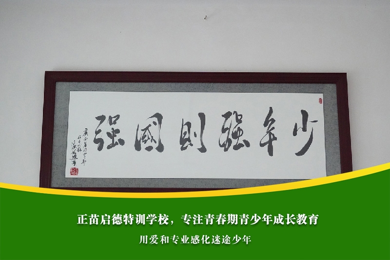 青春期孩子早恋被伤害，心理疏导应从哪些方面入手？