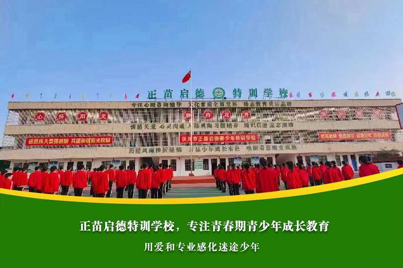 初中生早恋心理困扰，家长该如何进行有效沟通？