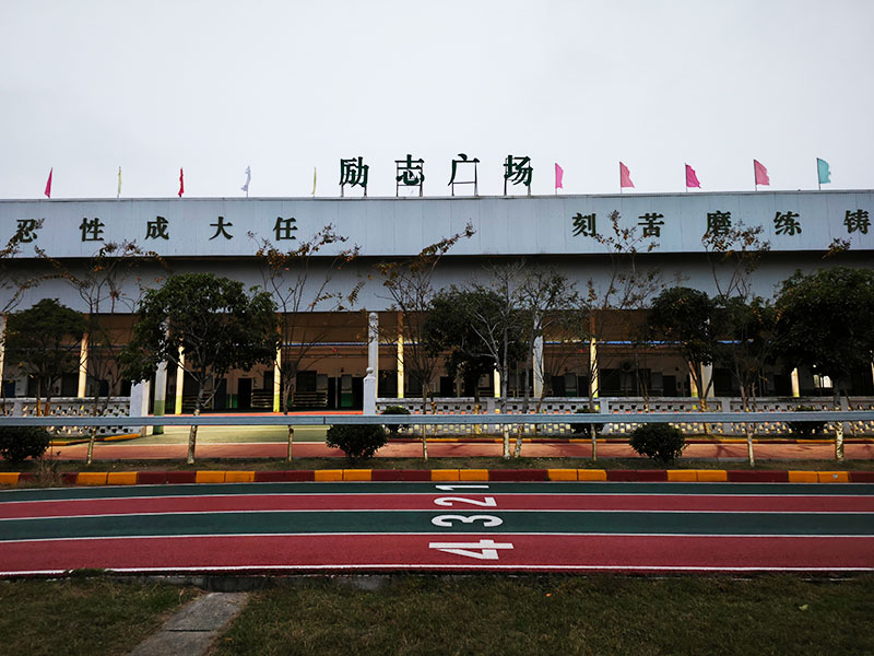 高中生沉迷手机，心理压力和学业能兼顾吗？