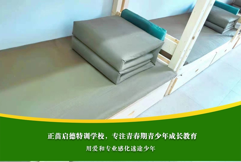 高中男孩沉迷游戏，心理疏导真的能帮到他吗？