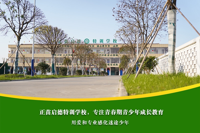 中学女孩沉迷手机，兴趣培养能改变吗？
