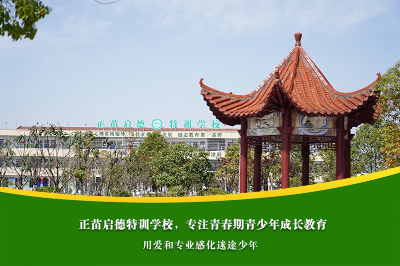 高中女孩沉迷短视频，父母如何帮助孩子科学管理时间？